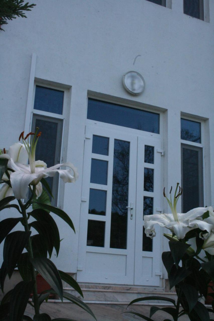 Flamingo Residence (Complex Manea) Orşova Exterior foto